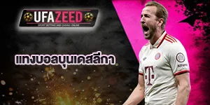 แทงบอลบุนเดสลีกาเยอรมัน